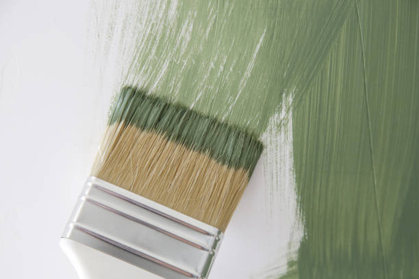 Best Black Mold Removal  in Linthicum, MD