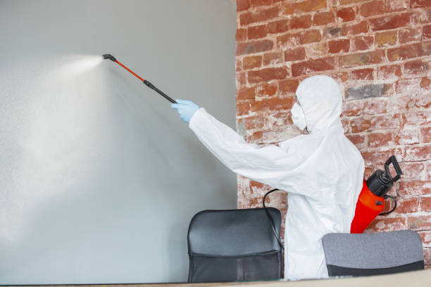 Best Indoor Air Quality Assessment  in Linthicum, MD