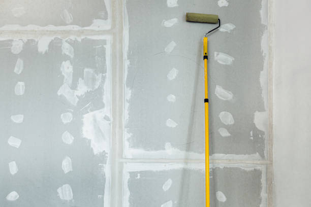 Best Biohazard Mold Removal  in Linthicum, MD