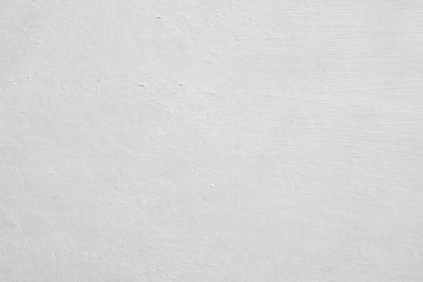 Best Black Mold Removal  in Linthicum, MD