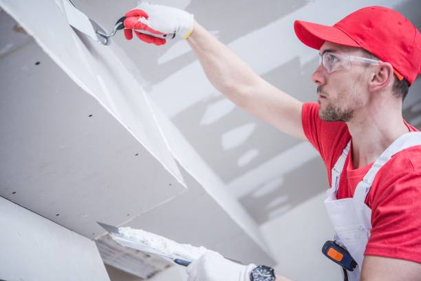 Best Water Damage & Mold Remediation  in Linthicum, MD