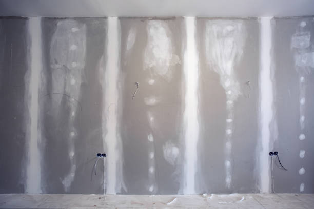 Best Mold Odor Removal Services  in Linthicum, MD
